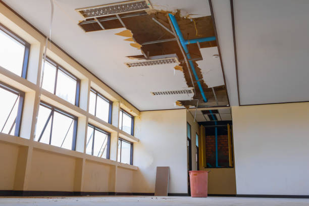 Best Mold removal after water damage  in Greenwood, DE