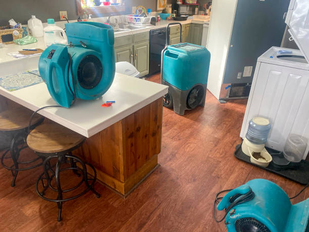 Best Flooded house restoration  in Greenwood, DE