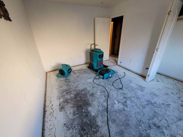 Best Water damage restoration experts  in Greenwood, DE