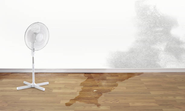 Reliable DE Water damage restoration Solutions