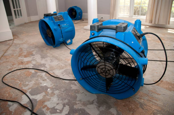 Water damage restoration experts in DE