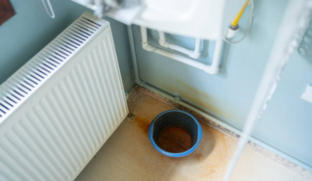  Greenwood, DE Water damage restoration Pros
