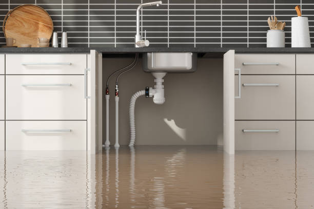 Best Residential water damage restoration  in Greenwood, DE