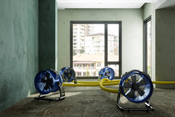 Best Ceiling water damage repair  in Greenwood, DE